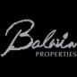 Balwin Corporate Greyscale